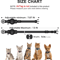 SafeTrack Reflective Cat GPS Collar With AirTag Holder QR ID Tag 1