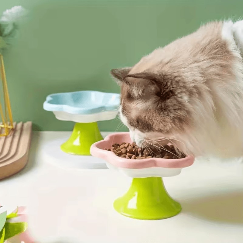 BloomPet Raised Ceramic Cat Bowl With Flower Stand For Neck Protection 0
