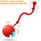 RolliPaw Smart Interactive Automatic Cat Ball Toy For Cats Small Dogs 3