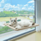 CloudNest UltraSoft Cat Window Hammock Bed For Cozy Sunbathing Naptime 1