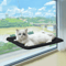 CloudNest UltraSoft Cat Window Hammock Bed For Cozy Sunbathing Naptime 2