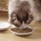 BlossomDish Ceramic Cat Bowl With Silicone AntiSlip Pad For Food Water 1