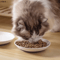 BlossomDish Ceramic Cat Bowl With Silicone AntiSlip Pad For Food Water 1