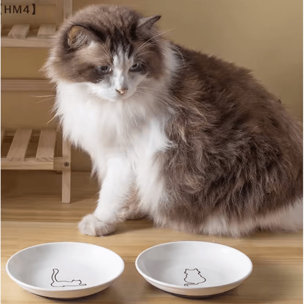 BlossomDish Ceramic Cat Bowl With Silicone AntiSlip Pad For Food Water 2