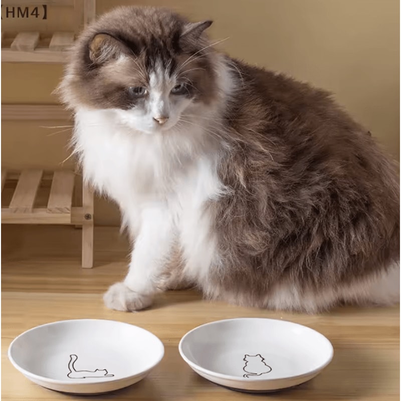 BlossomDish Ceramic Cat Bowl With Silicone AntiSlip Pad For Food Water 2