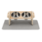 Adjustable Elevated Cat Bowl Stand With Silicone Feeding Mat For Cats Small Pets 1