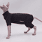 Cozy FourLegged Sphynx Cat Jacket For Hairless Cats 1