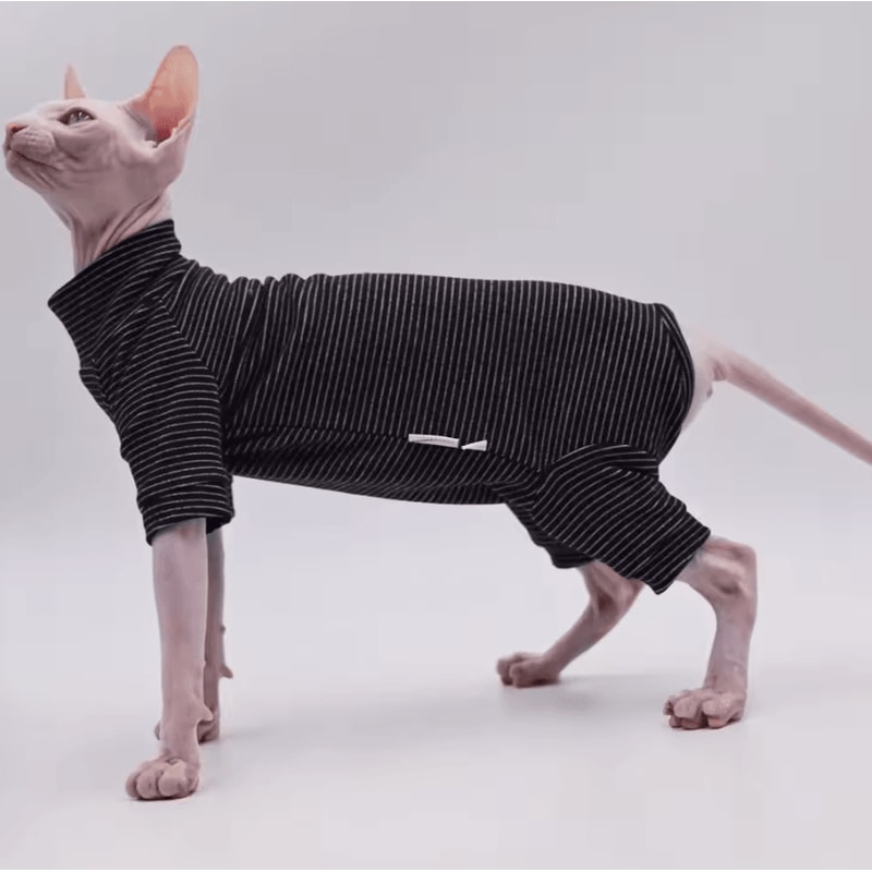 Cozy FourLegged Sphynx Cat Jacket For Hairless Cats 1