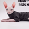 Cozy FourLegged Sphynx Cat Jacket For Hairless Cats 4