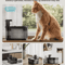 DownyPaws 25L Wireless Cat Water Fountain With Motion Sensor 1