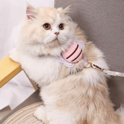 adjustable no-pull cat & small dog harness leash set for comfortable outdoor walks