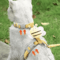 Adjustable NoPull Cat Small Dog Harness Leash Set For Comfortable Outdoor Walks 1