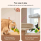ChirpyPounce Interactive Bird Sound Cat Toy 2