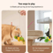 ChirpyPounce Interactive Bird Sound Cat Toy 2