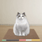 ScratchNest Corrugated Cat Scratcher Lounge 2
