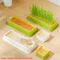 FreshSprout Soilless Cat Grass Growing Kit With Layered Germination Tray 0