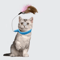 PlayLoop Feather Collar Toy For SelfEntertaining Cats Kittens 1
