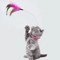 PlayLoop Feather Collar Toy For SelfEntertaining Cats Kittens 2