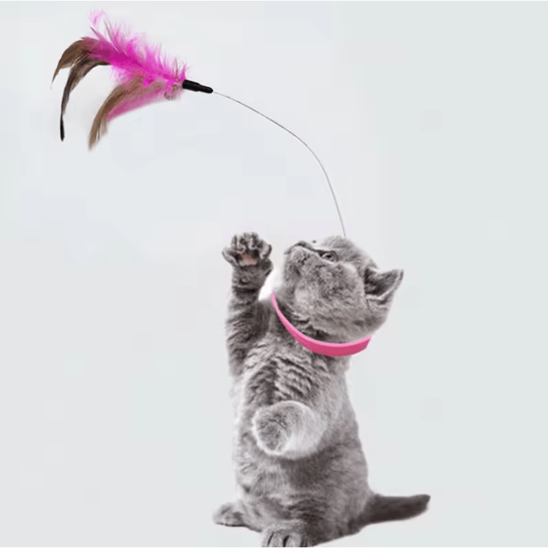 PlayLoop Feather Collar Toy For SelfEntertaining Cats Kittens 2