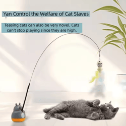 whirlbell 360 interactive feather wand toy for cats & kittens