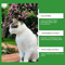 CatEase Calming Diffuser For Cats Pheromone PlugIn Anxiety Relief For Indoor Cats 1