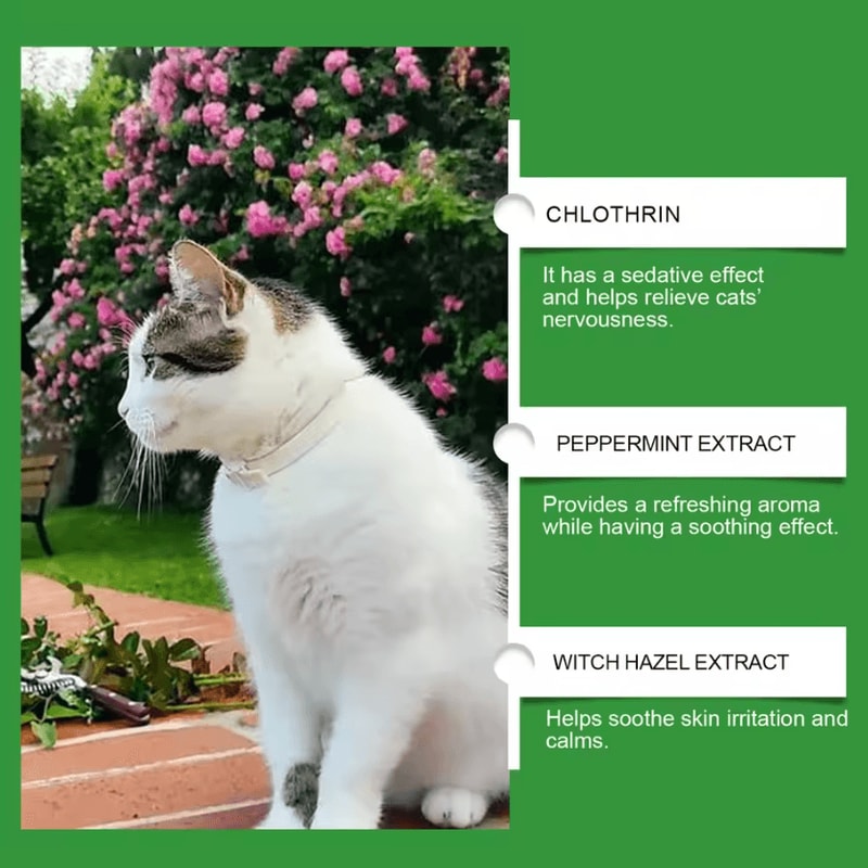 CatEase Calming Diffuser For Cats Pheromone PlugIn Anxiety Relief For Indoor Cats 1