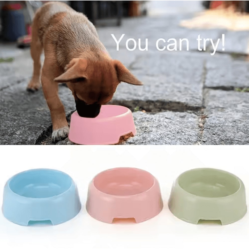 CandyPaws Color Pet Bowl Lightweight Food Water Dish For Cats Small Dogs 1