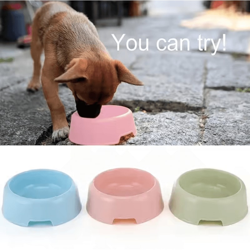 CandyPaws Color Pet Bowl Lightweight Food Water Dish For Cats Small Dogs 1