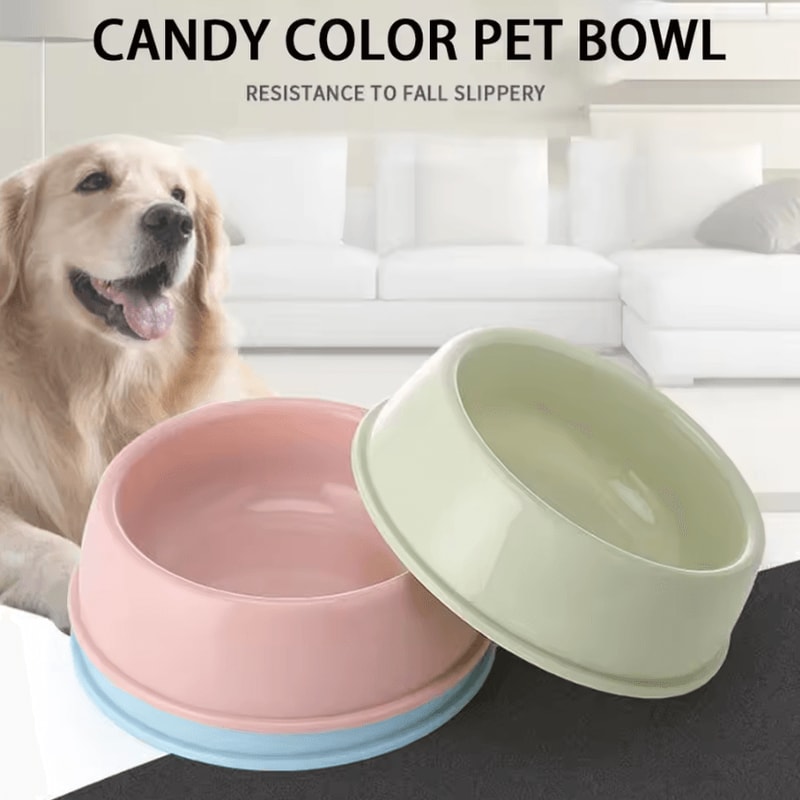 CandyPaws Color Pet Bowl Lightweight Food Water Dish For Cats Small Dogs 2