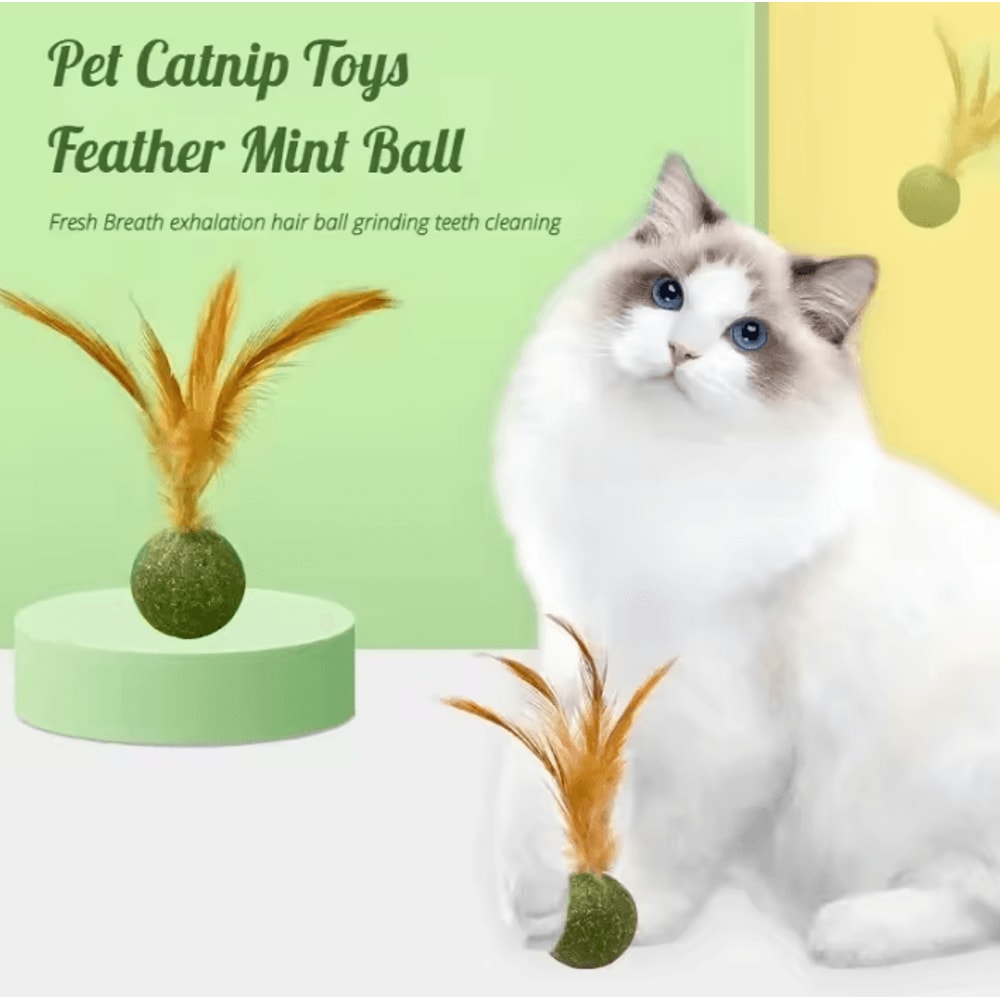 MintyPaws Catnip Ball Toy Edible Cat Mint Treat Teeth Cleaning Toy 0