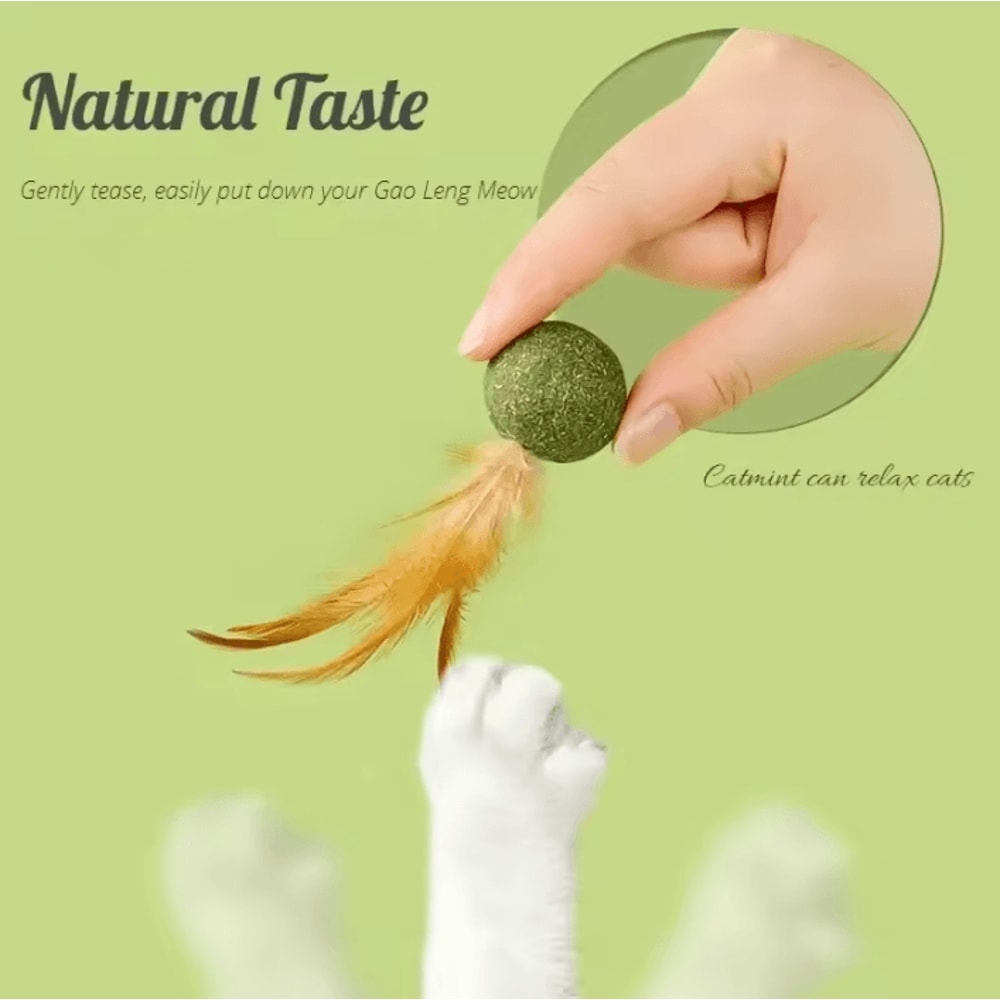 MintyPaws Catnip Ball Toy Edible Cat Mint Treat Teeth Cleaning Toy 1