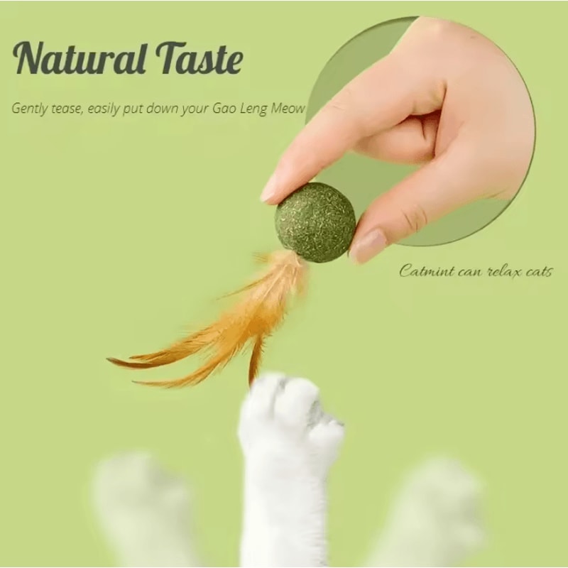 MintyPaws Catnip Ball Toy Edible Cat Mint Treat Teeth Cleaning Toy 1