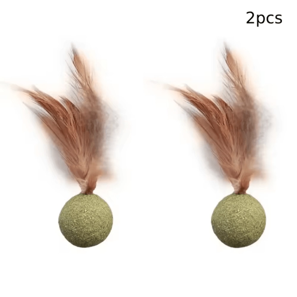 MintyPaws Catnip Ball Toy Edible Cat Mint Treat Teeth Cleaning Toy 3