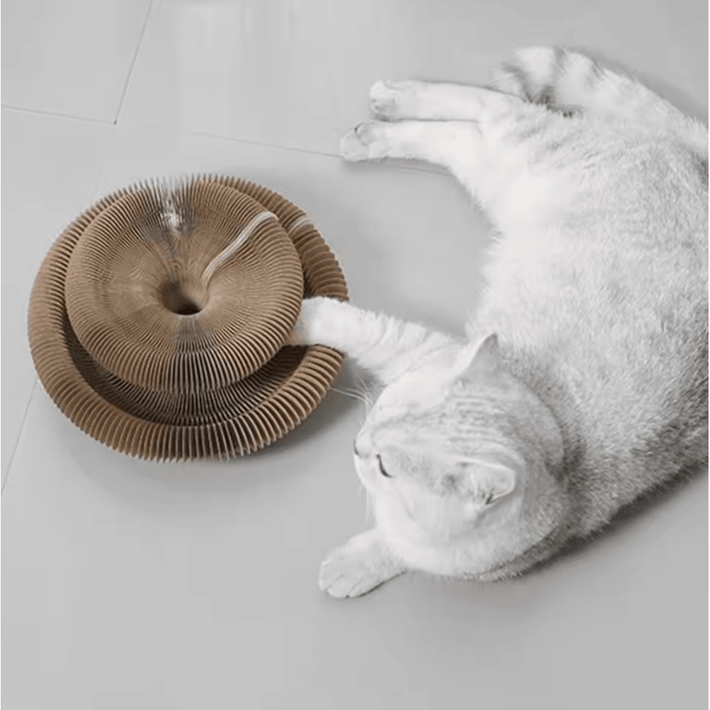 Magic Curl Interactive Cat Tunnel Toy Scratching Ball 2
