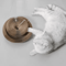 Magic Curl Interactive Cat Tunnel Toy Scratching Ball 2