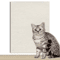 ScratchGuard SelfAdhesive Cat Scratcher Sofa Protector Mat 4