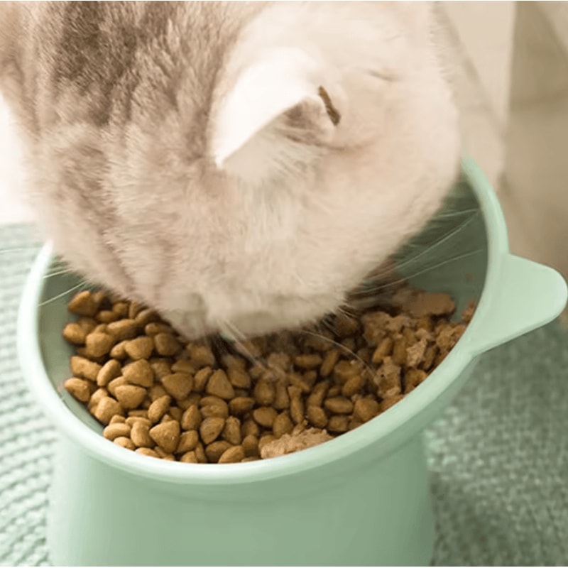 ComfortTilt Elevated Pet Feeding Bowl For Cats Small Dogs 2