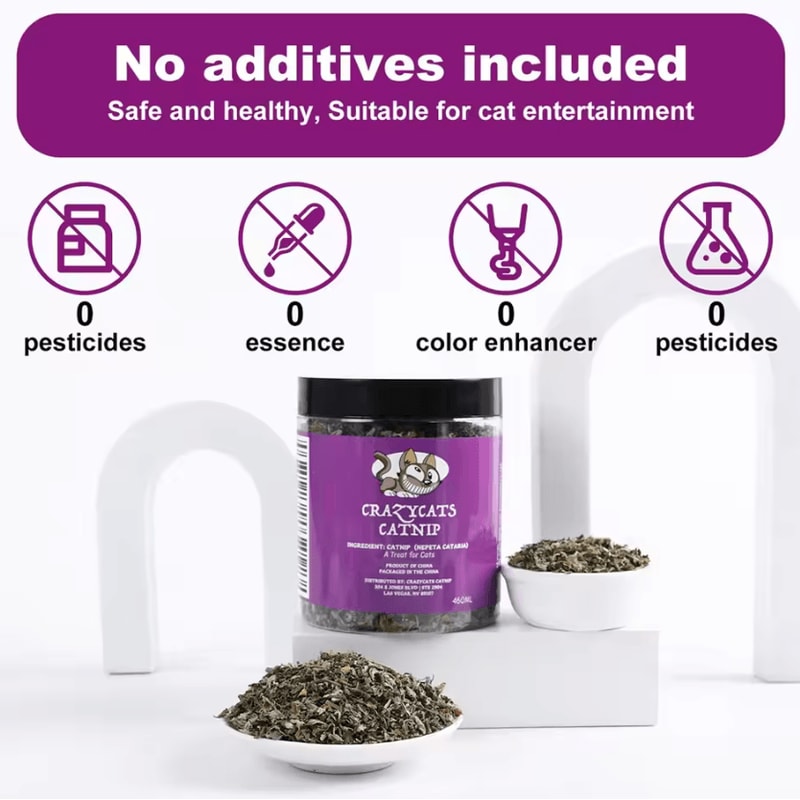PurrBloom Premium Natural Catnip Jar For Cats Kittens 1