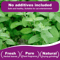 PurrBloom Premium Natural Catnip Jar For Cats Kittens 2