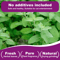 PurrBloom Premium Natural Catnip Jar For Cats Kittens 2