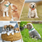 PawTag Soft Puppy ID Collar Set With Bells 12 Adjustable Whelping Collars 2