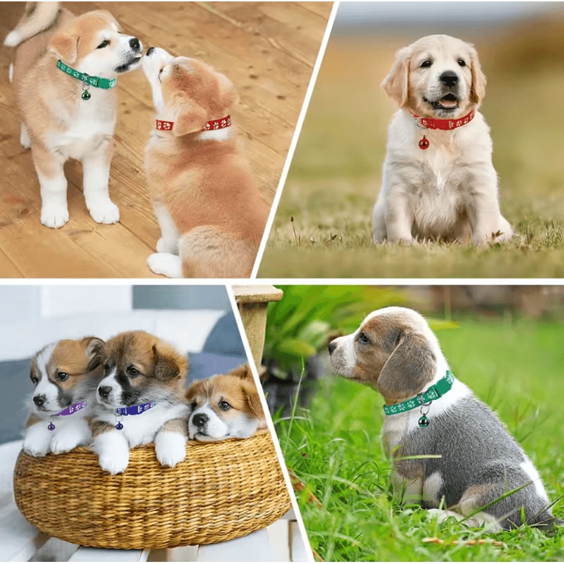 PawTag Soft Puppy ID Collar Set With Bells 12 Adjustable Whelping Collars 2