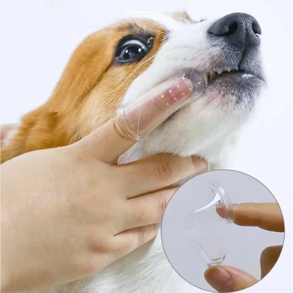 FreshPaw Soft Finger Toothbrush Set For Dogs Cats 5 Piece Dental Care Kit 3