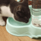 FreshFlow 38L Automatic Pet Feeder Water Dispenser Set 1