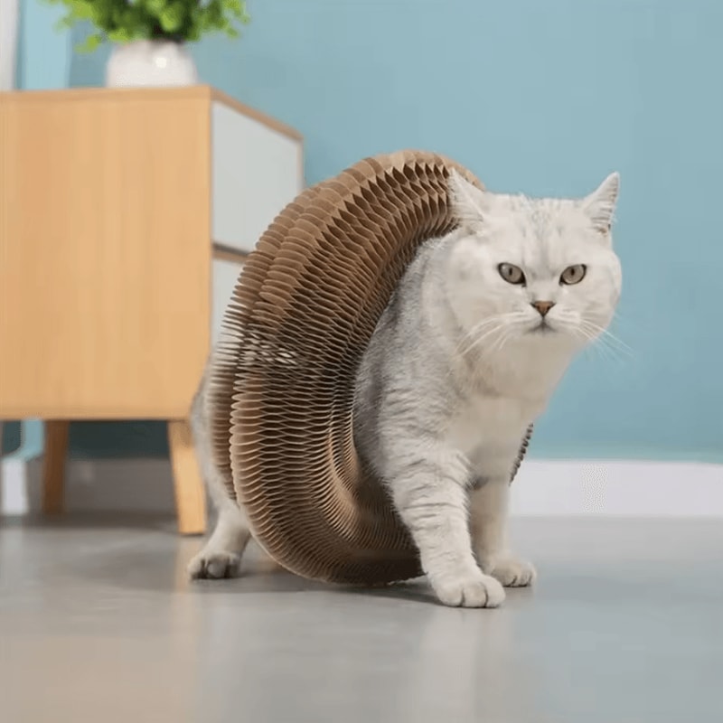 FlexiScratch Transformable Kitty Kurlz Cat Scratching Toy 2
