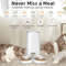ROJECO Smart Dual Bowl WiFi Automatic Pet Feeder 1