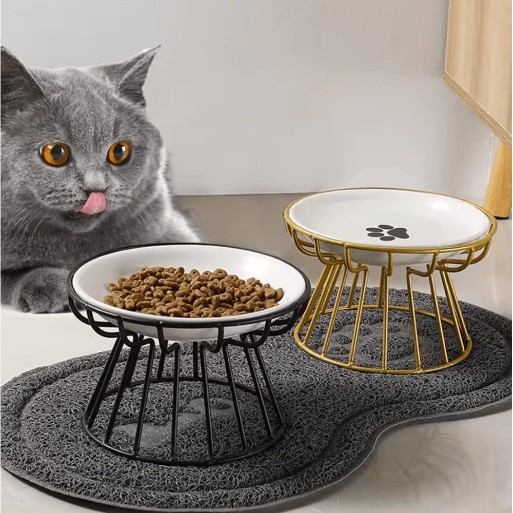WhiskerFriendly Elevated Ceramic Cat Bowl With AntiTip Stand 0