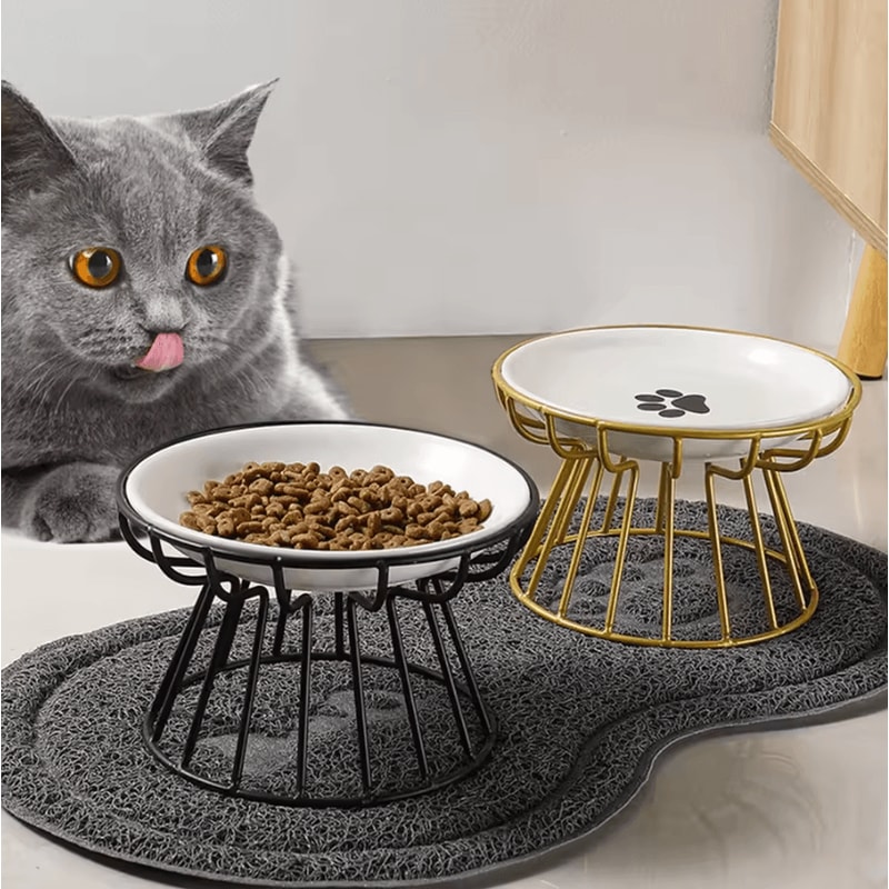 WhiskerFriendly Elevated Ceramic Cat Bowl With AntiTip Stand 0