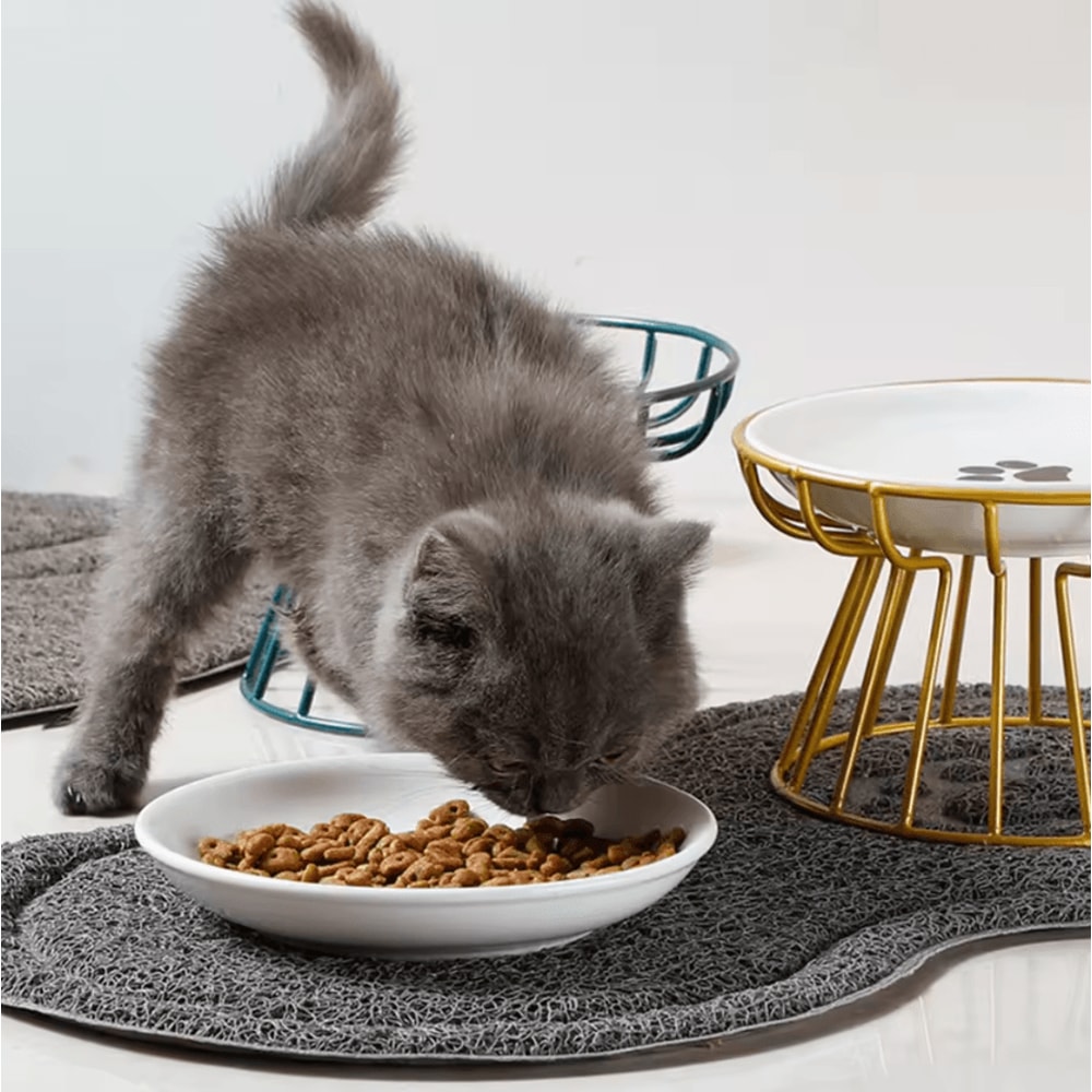WhiskerFriendly Elevated Ceramic Cat Bowl With AntiTip Stand 1