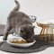 WhiskerFriendly Elevated Ceramic Cat Bowl With AntiTip Stand 1